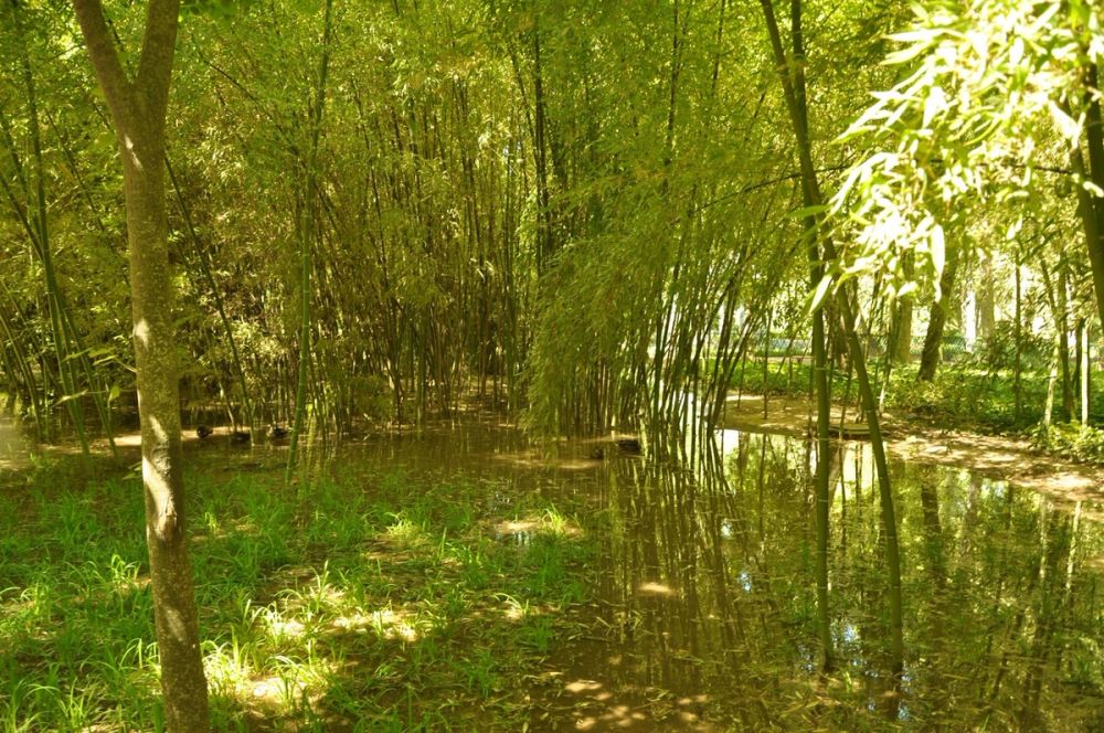 Aranjuez 2016