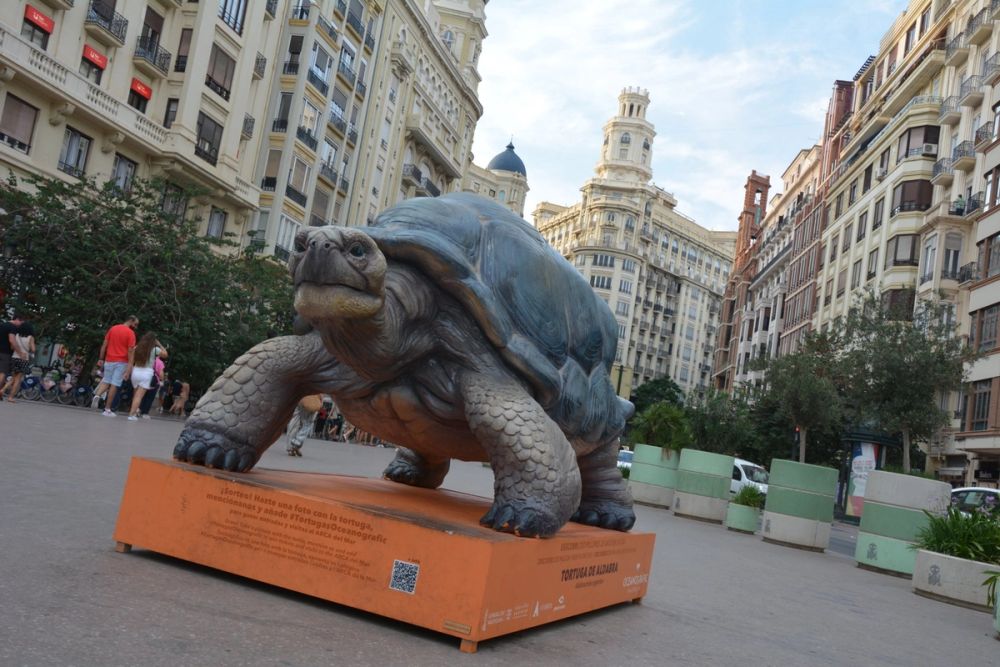 Valencia 2022