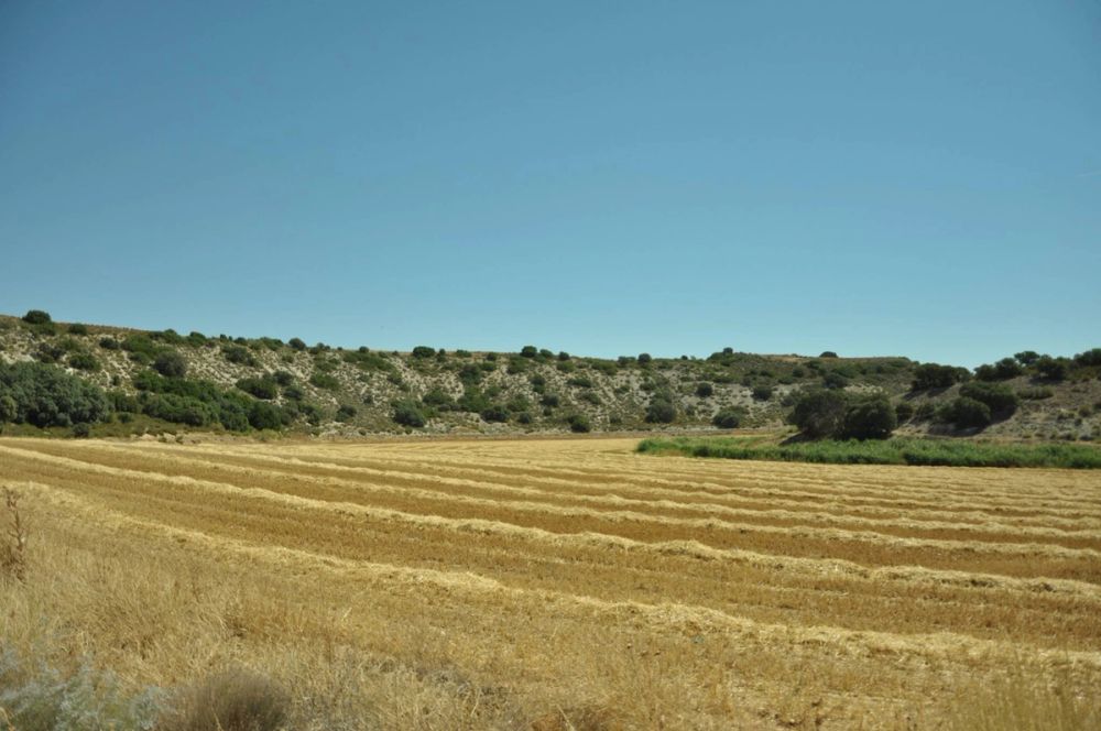 Valle de Lillo 2017