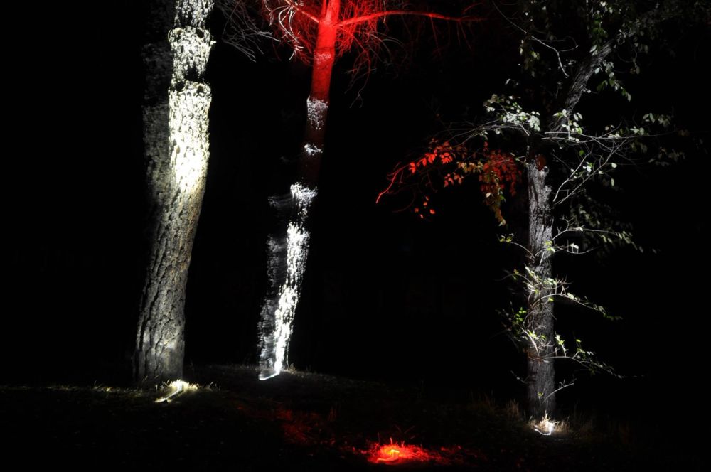 Efectos de luz (Parque butarque Leganes) 01-09-2014