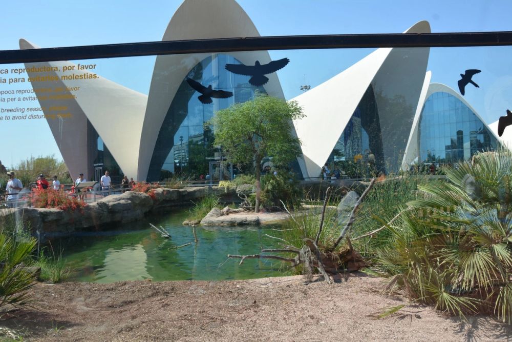 Oceanografic 2022