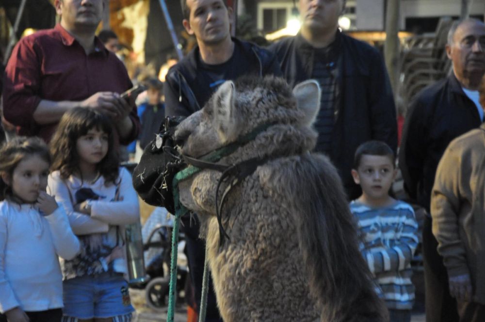 Feria Mediaval (Leganes) 2016