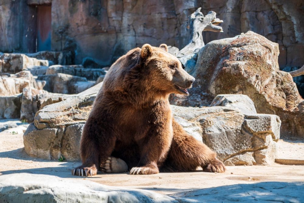 Zoo 17-08-2024