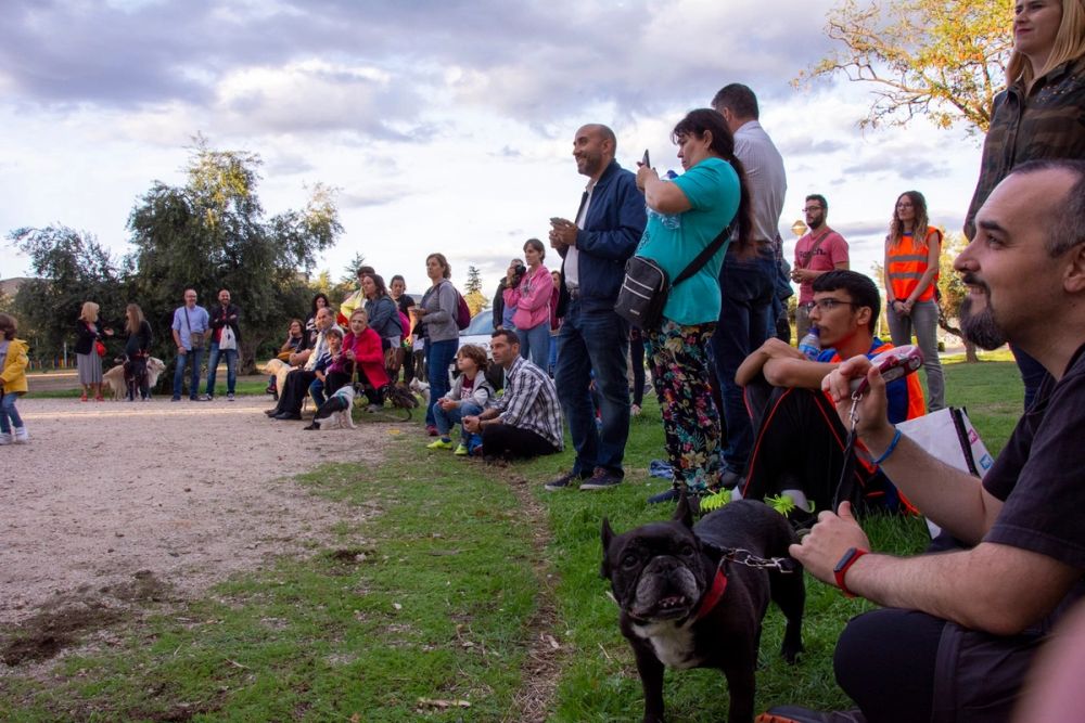 Formacion de perro policia 22-09-2019