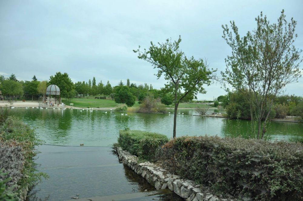 parque Polvoranca (Leganes) 30-08-2014