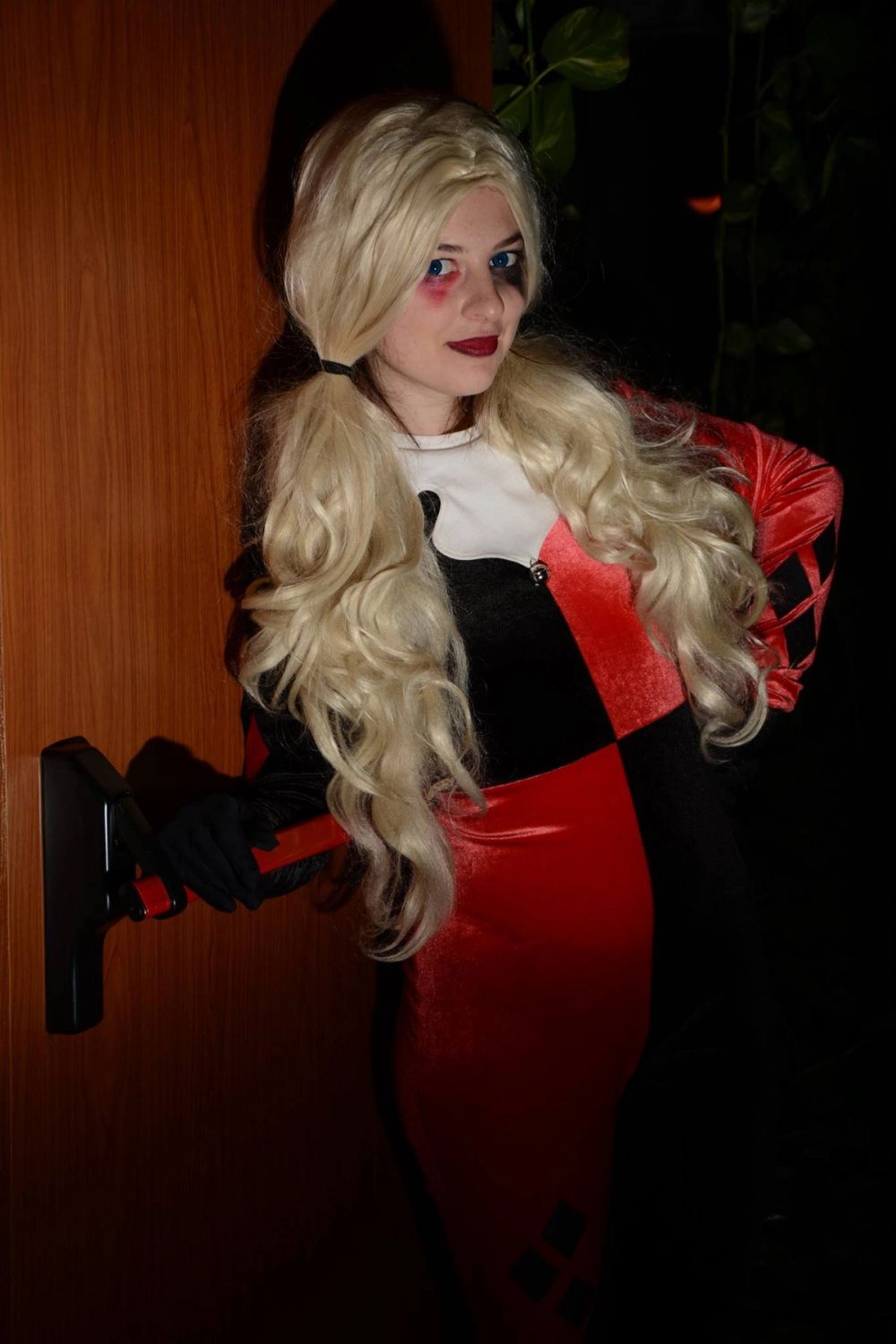harley quinn 24-02-2019