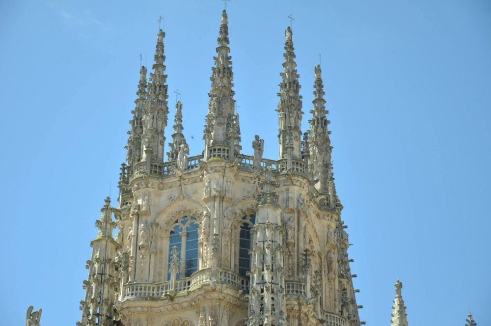 Burgos 2014