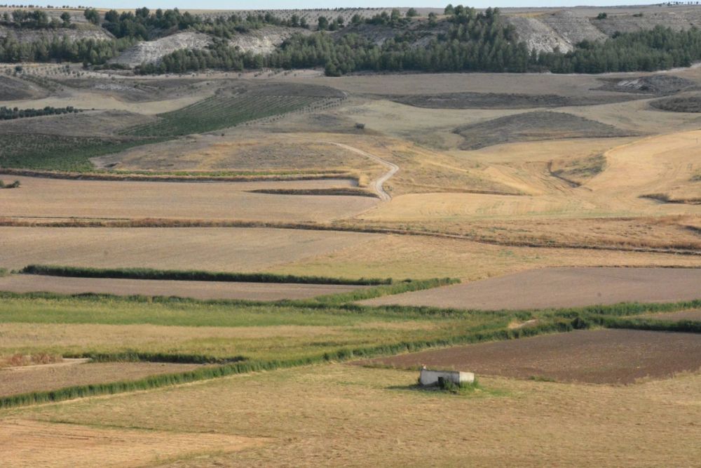 Cuevas del valle de Lillo 2020