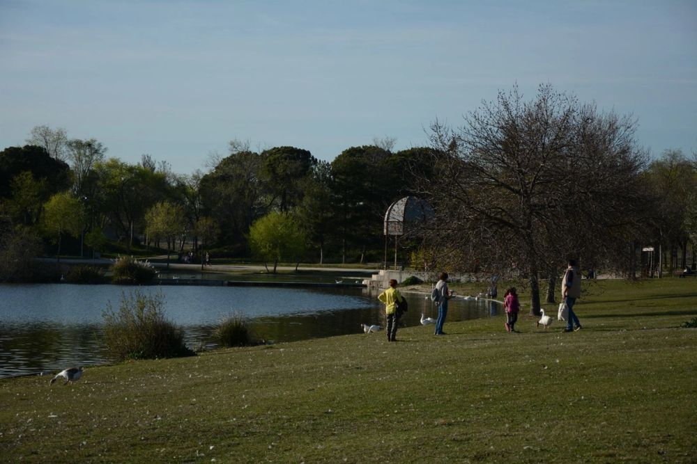 Parque Polvoranca (Leganes) 18-03-2017