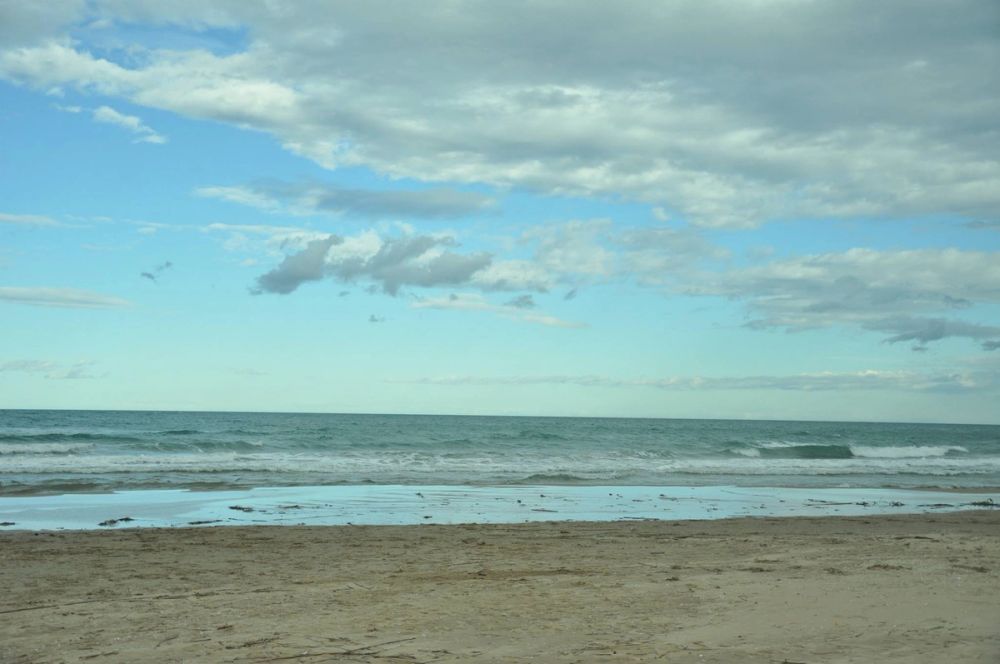 Oliva (Valencia) 15-12-2014