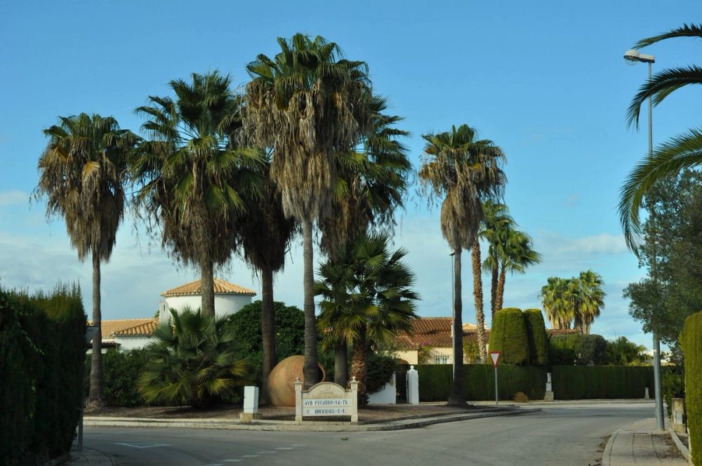 Oliva (Valencia) 15-12-2014