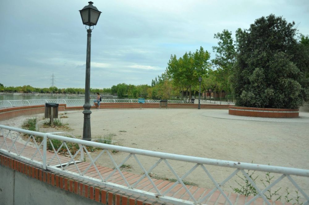 Ocas y patos en parque polvoranca (Leganes) 30-08-2014