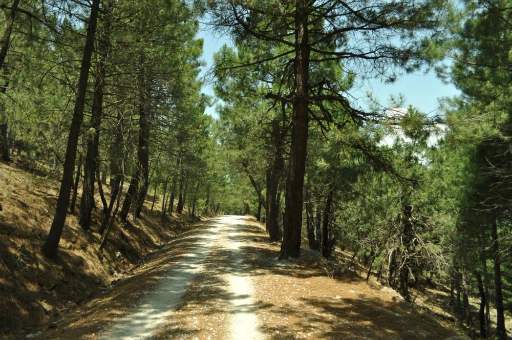 Berrecil de la sierra 10-07-2013