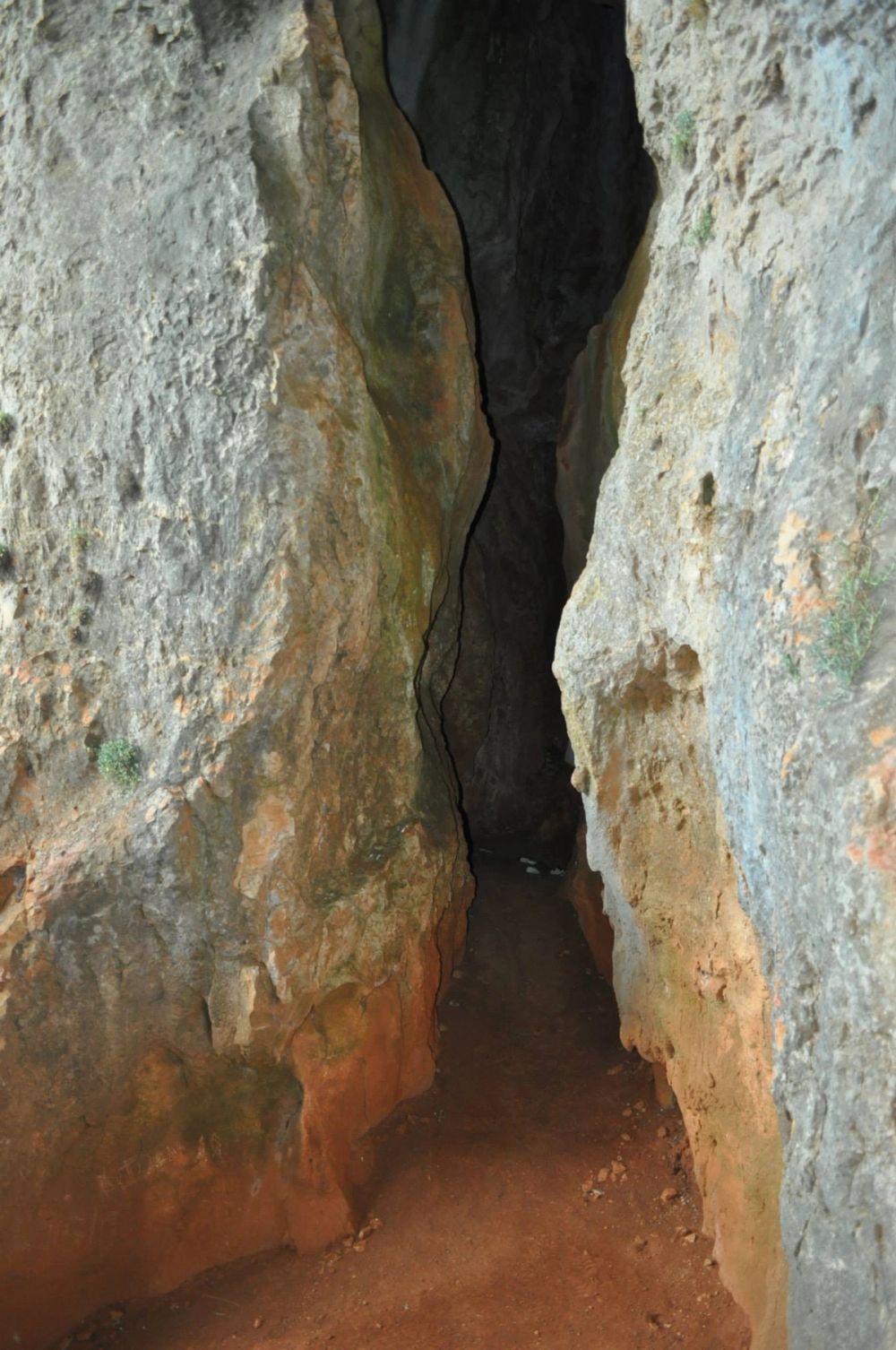 Rio lobos (Burgos/Soria) 2012