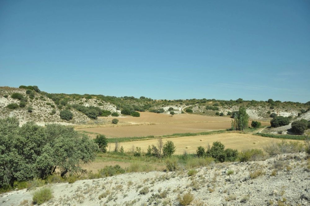 Valle de Lillo 2017