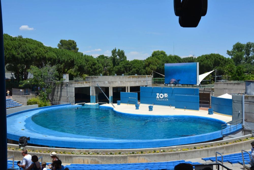zoo 07-07-2018