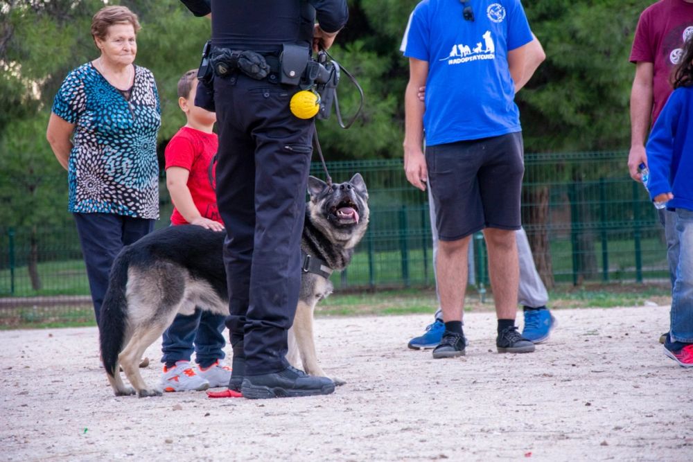 Formacion de perro policia 22-09-2019