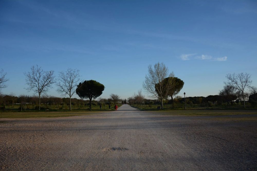 Parque Polvoranca (Leganes) 18-03-2017