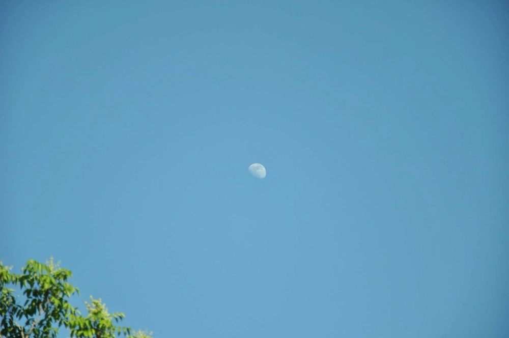 parque polvoranca (Leganes) 28-05-2015