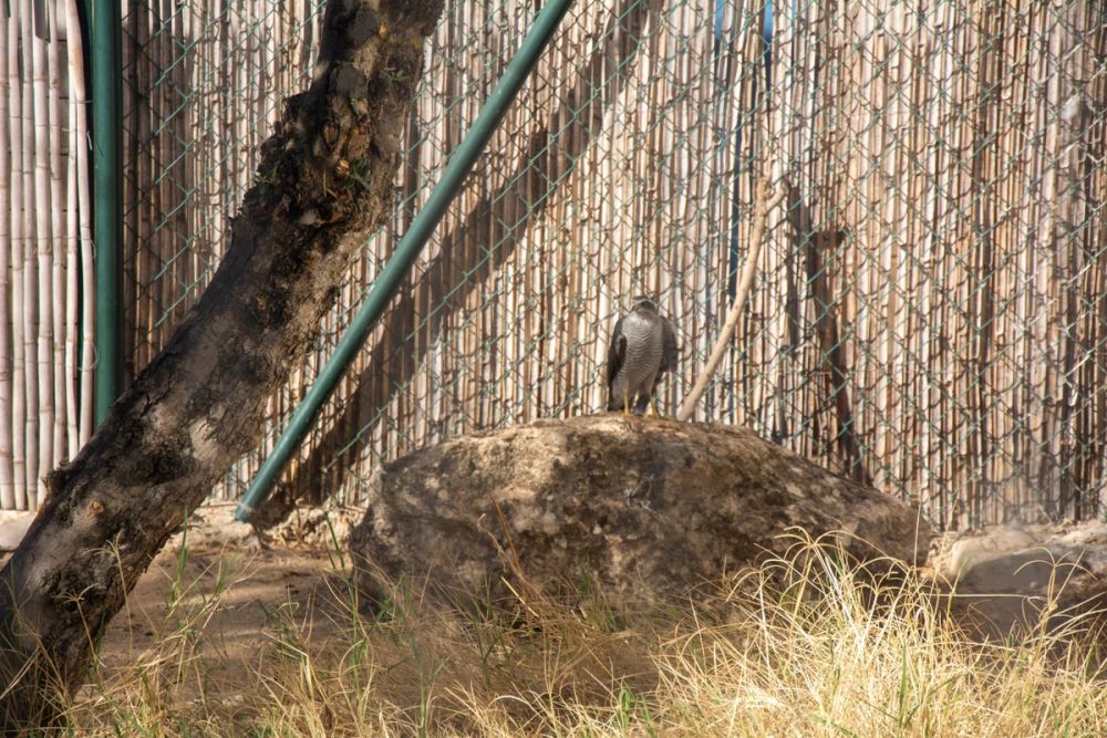 Zoo de Lillo 03-09-2022