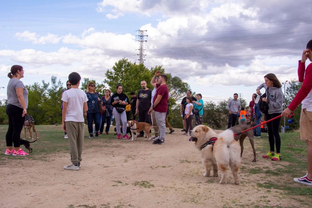 IV Ruta canina en Leganes 22-09-2019