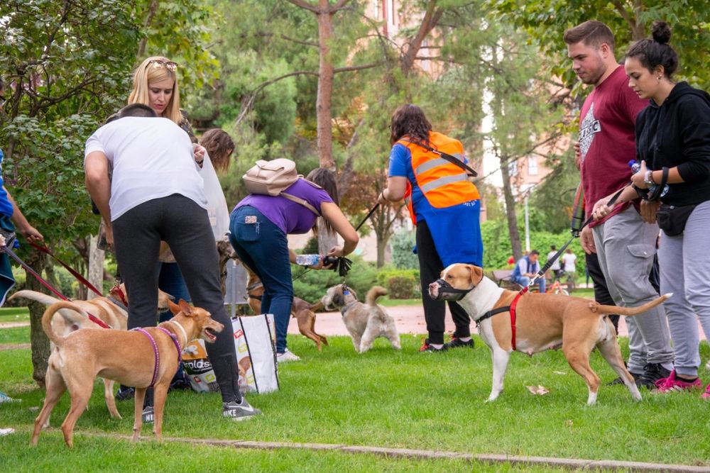 IV Ruta canina en Leganes 22-09-2019