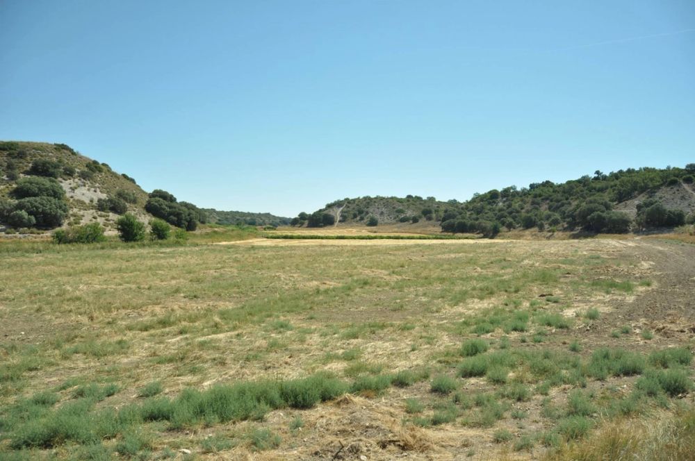 Valle de Lillo 2017