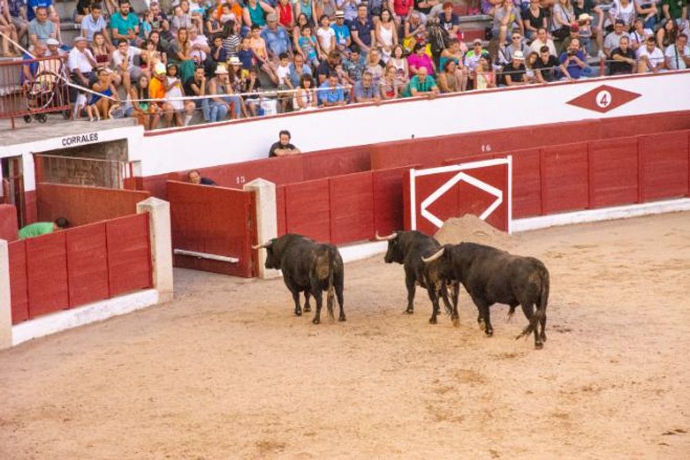 Toros en Colmenar Viejo 22-08-2019