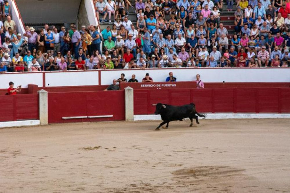 Toros en Colmenar Viejo 22-08-2019