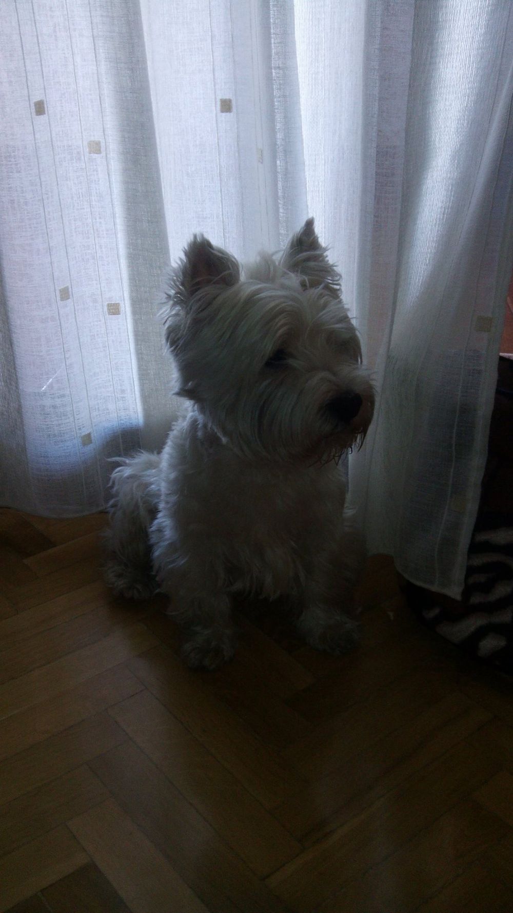 Luckky