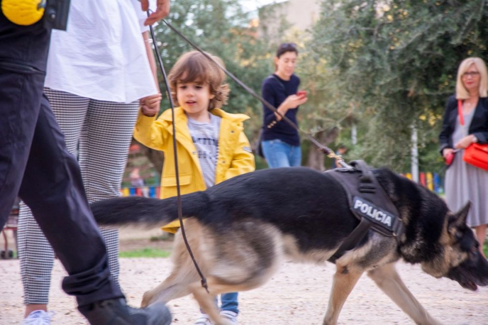 Formacion de perro policia 22-09-2019