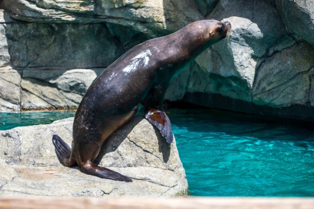 Zoo 17-08-2024