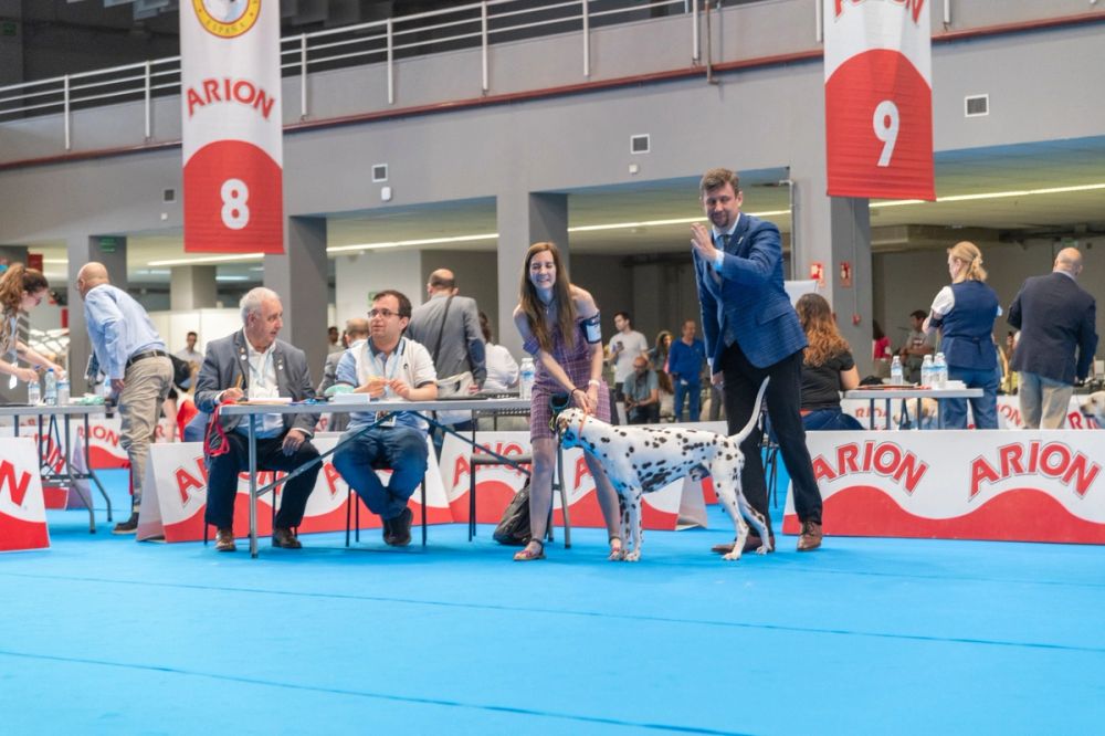 Exposicion canina (ciudad real) 01-06-2024
