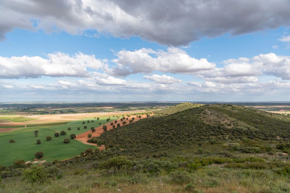 Sierra de Corral de Almaguer 03-05-2025