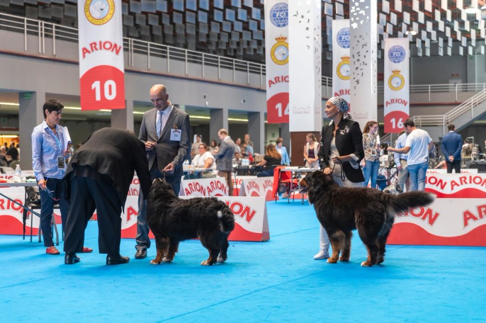 Exposicion canina (ciudad real) 01-06-2024