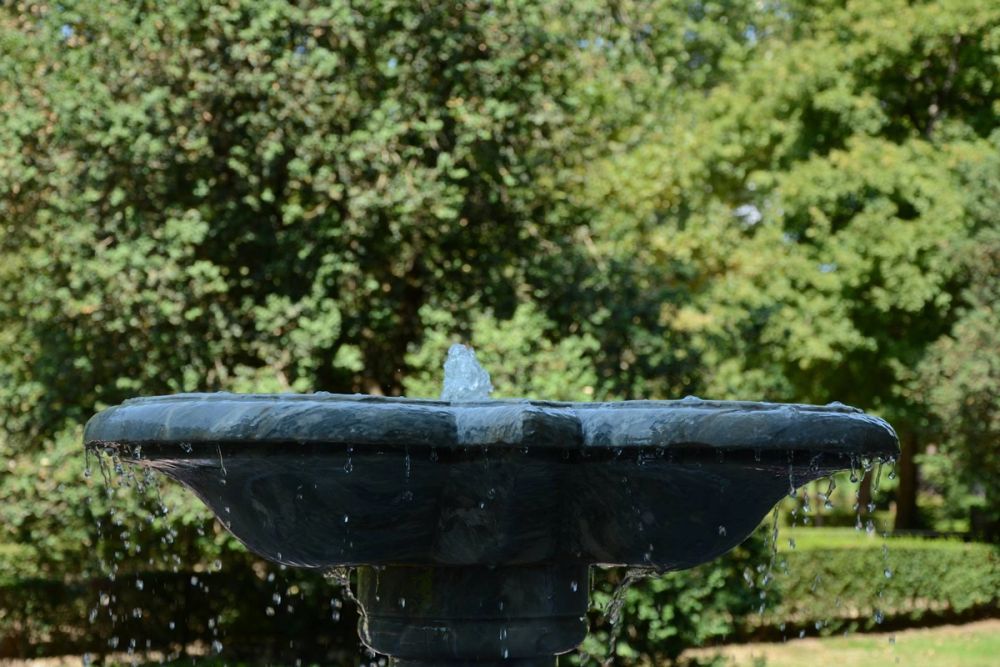 Parque de El capricho (Madrid) 2018
