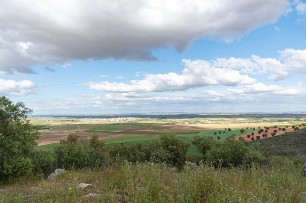 Sierra de Corral de Almaguer 03-05-2025