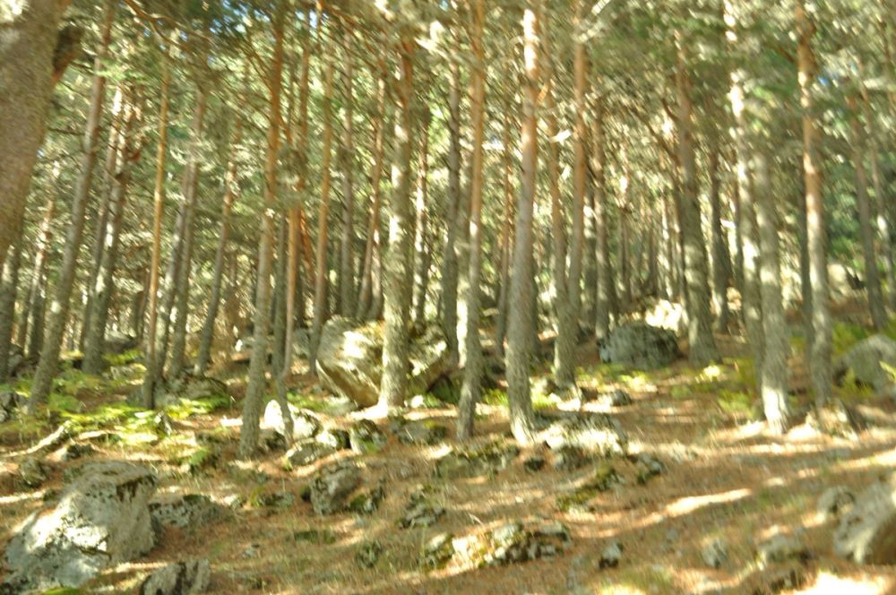 Peñalara (Madrid) 27-10-2013