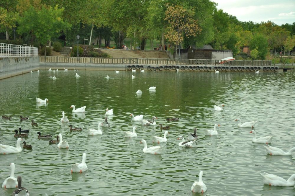 parque Polvoranca (Leganes) 30-08-2014