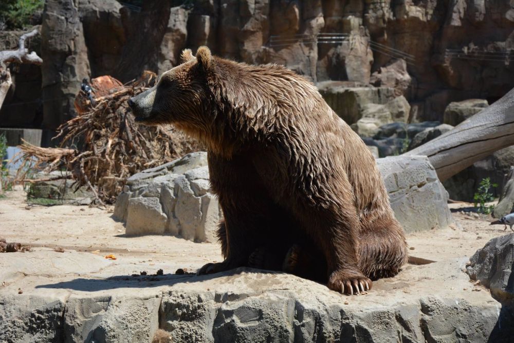 zoo 07-07-2018