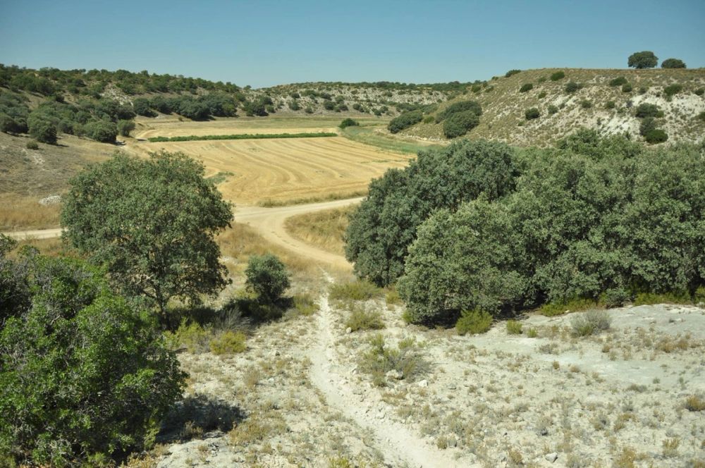 Valle de Lillo 2017