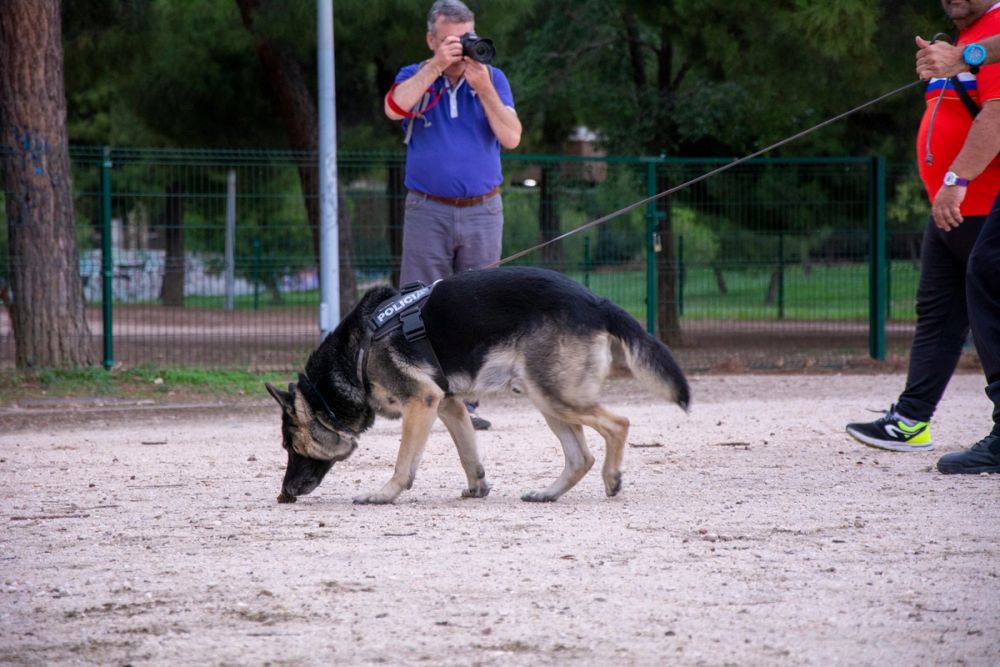 Formacion de perro policia 22-09-2019