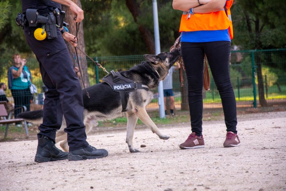 Formacion de perro policia 22-09-2019