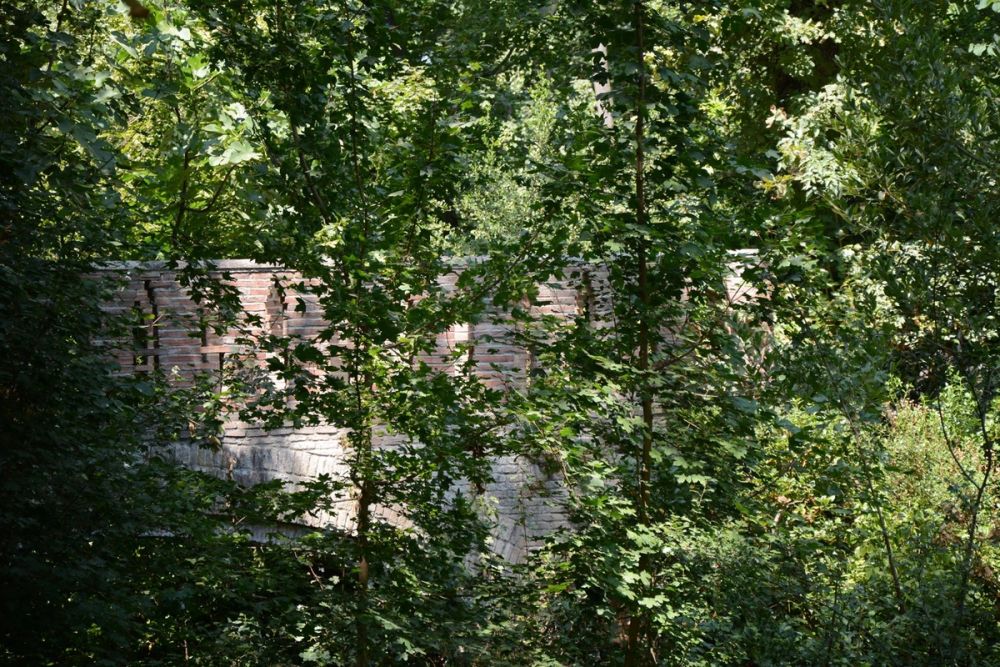 Parque de El capricho (Madrid) 2018