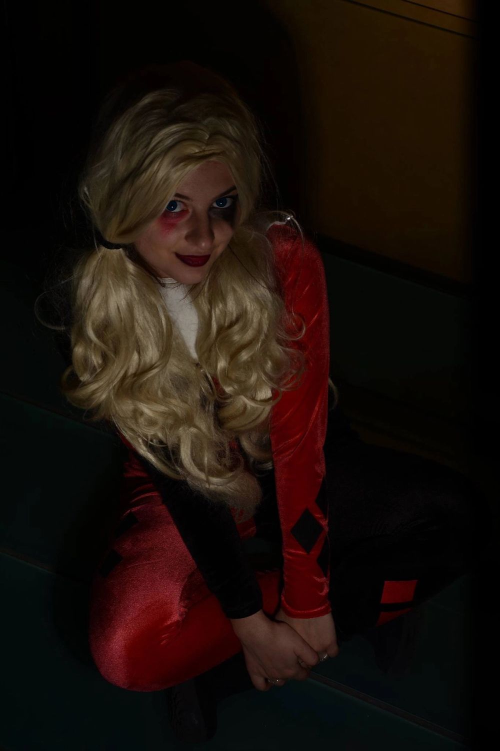 harley quinn 24-02-2019