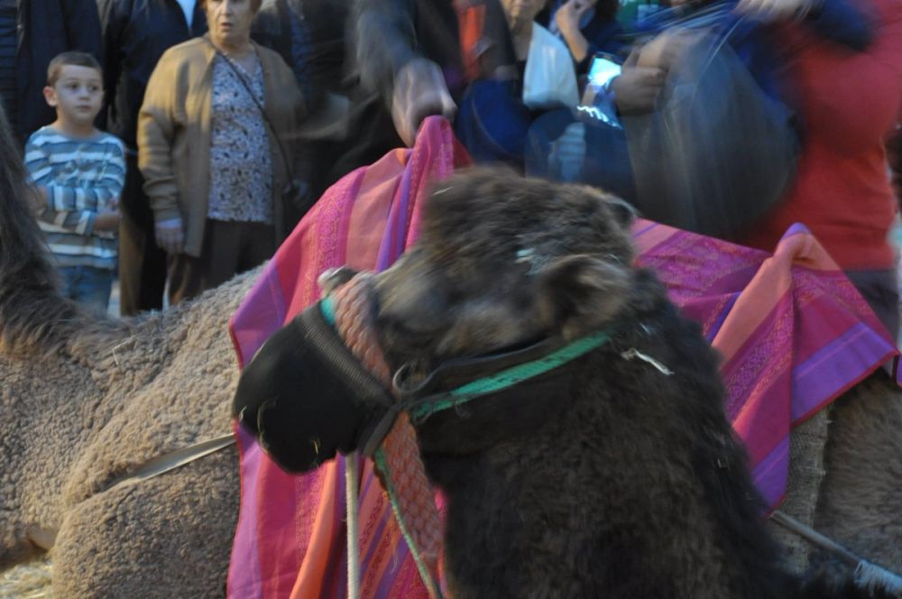 Feria Mediaval (Leganes) 2016