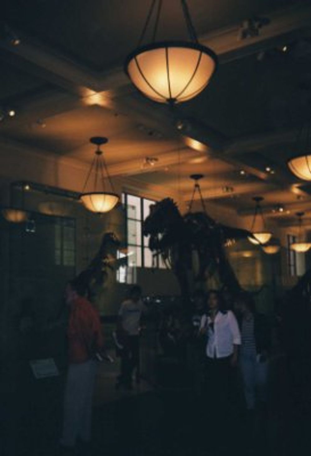 New York 2003