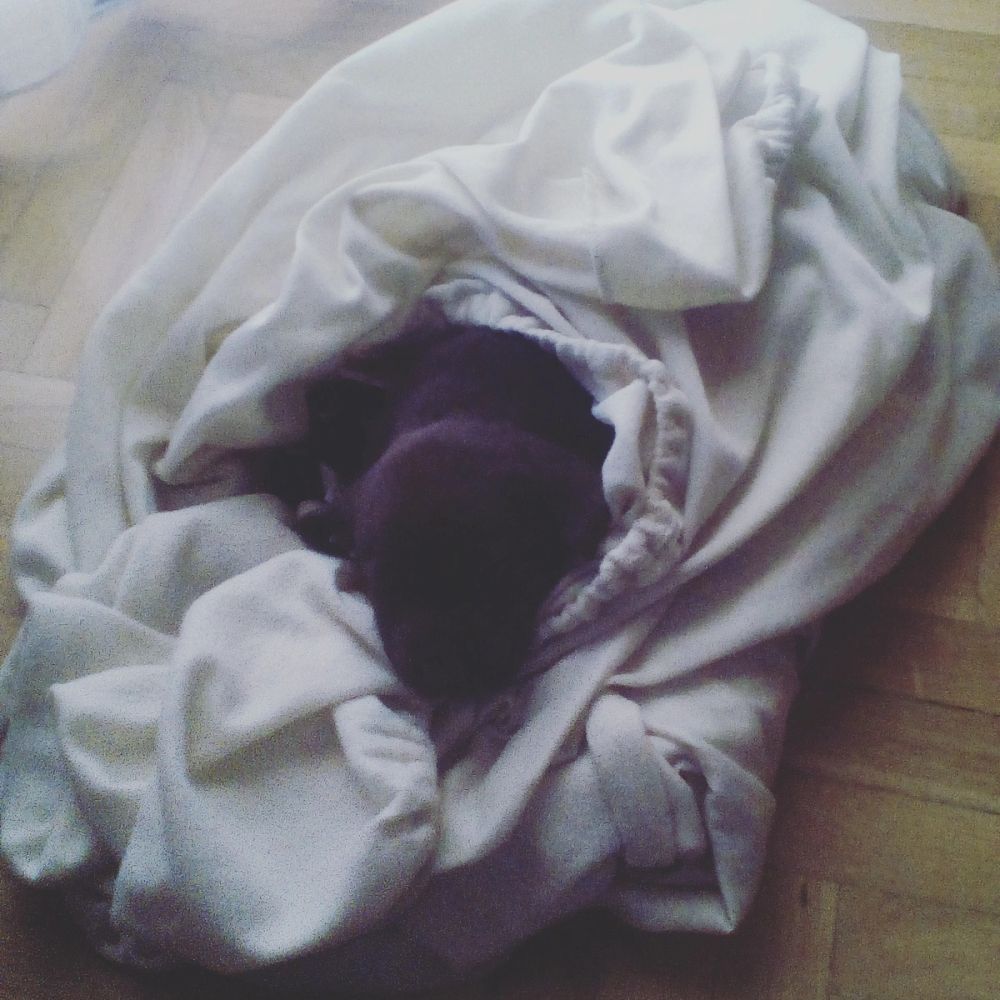 baby Conan