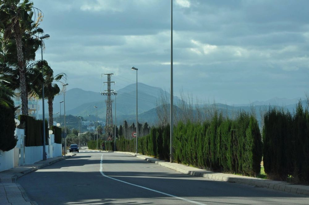 Oliva (Valencia) 15-12-2014