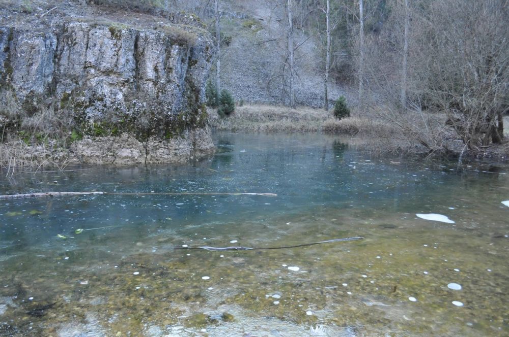 Rio lobos (Burgos/Soria) 2012